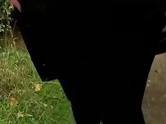 Videó családixekx po ...