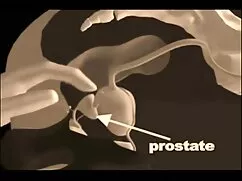 Szexi fiatal nő porn ...