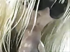 Pornó videó családi  ...